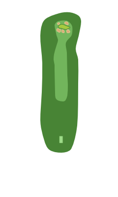 Georgia Greens Hole 7 layout